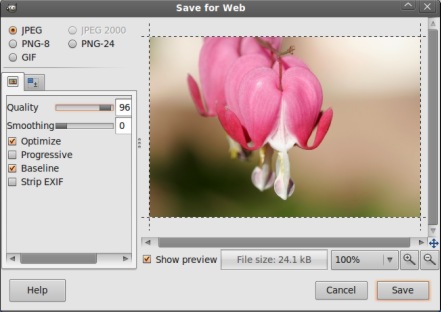 gimp save for web-ubuntu