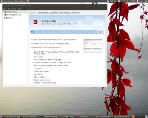 Dell Mini 12 Ubuntu Install