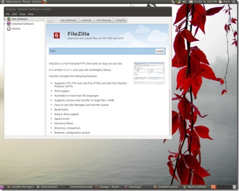 ubuntu-1010-screenshot4