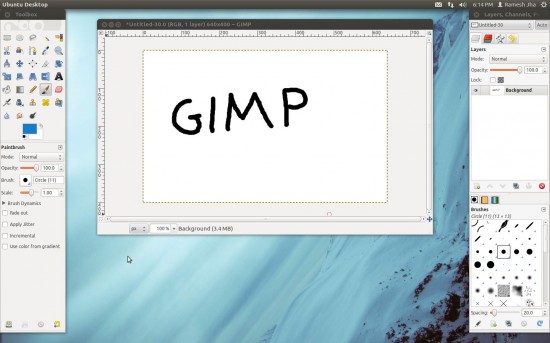 gimp-snapshot